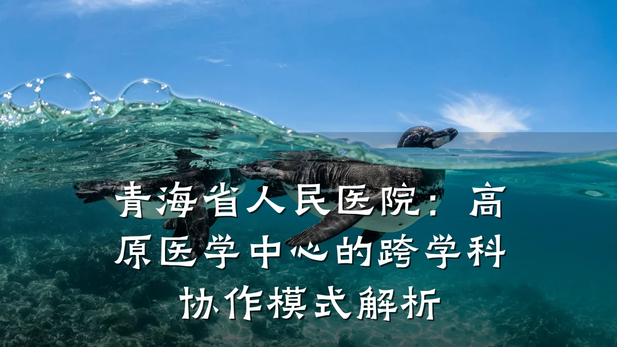 青海省人民医院:高原医学中心的跨学科协作模式解析