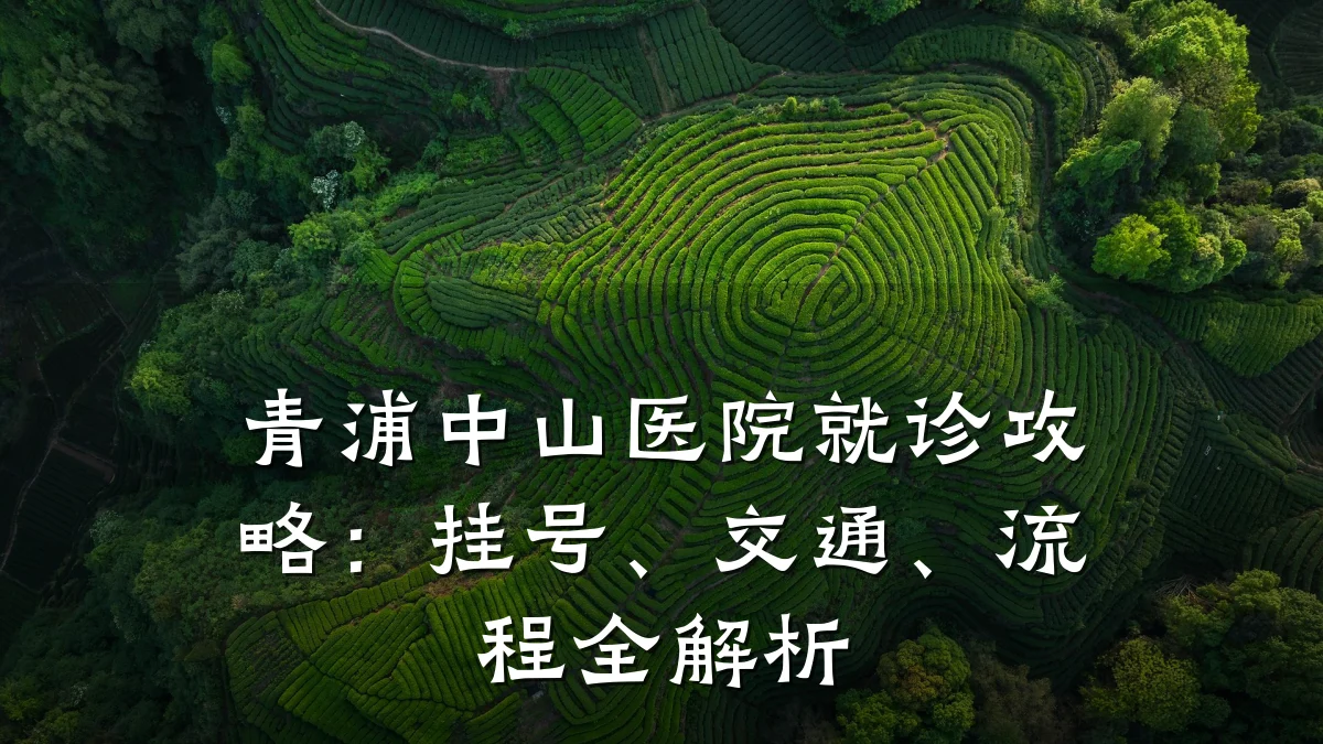 青浦中山医院就诊攻略:挂号、交通、流程全解析