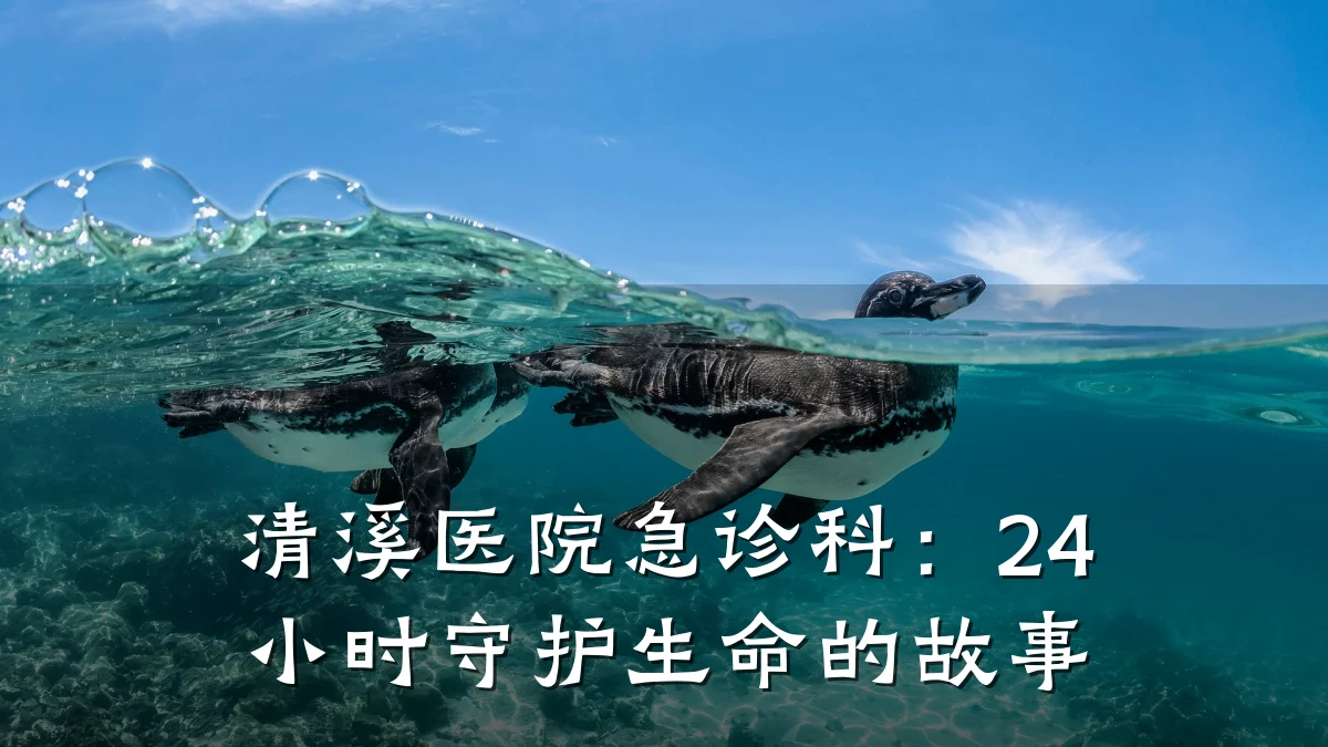 清溪医院急诊科:24小时守护生命的故事