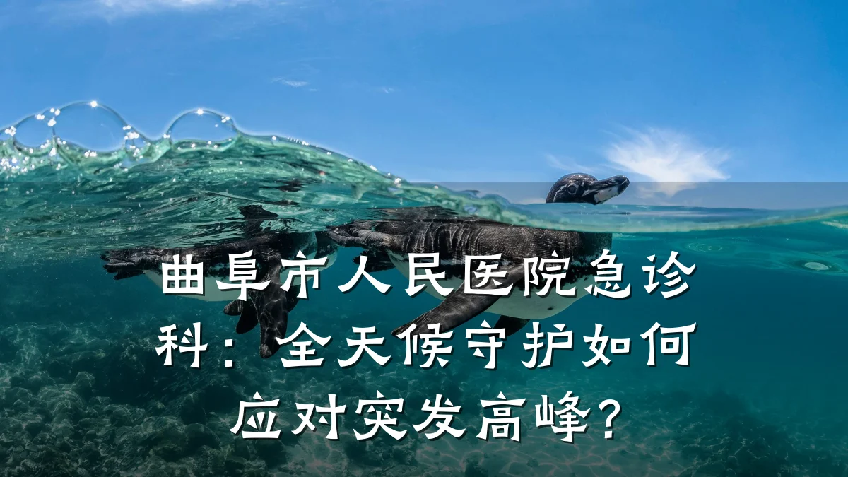 曲阜市人民医院急诊科:全天候守护如何应对突发高峰?