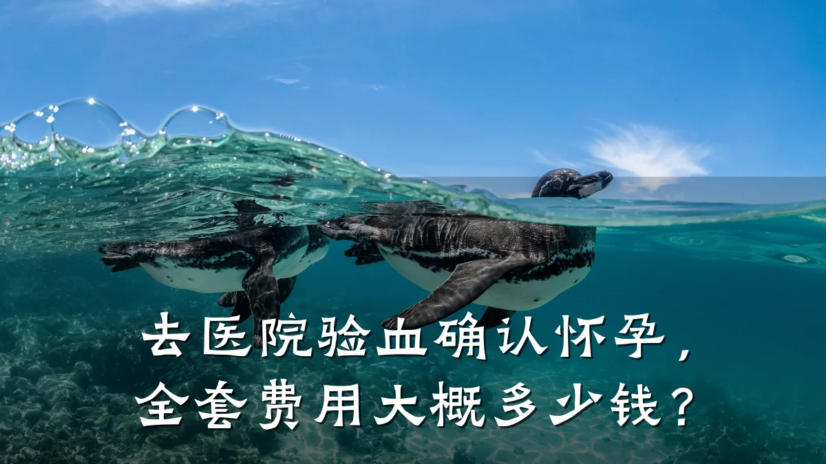 去医院验血确认怀孕,全套费用大概多少钱?