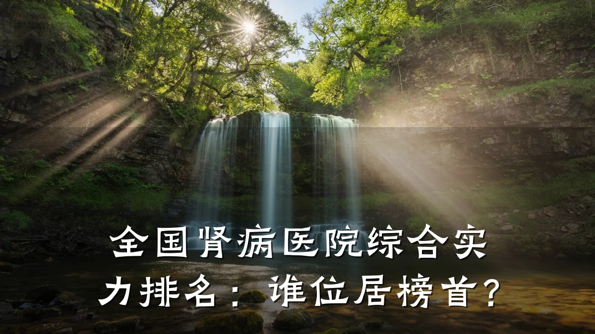 全国肾病医院综合实力排名:谁位居榜首?