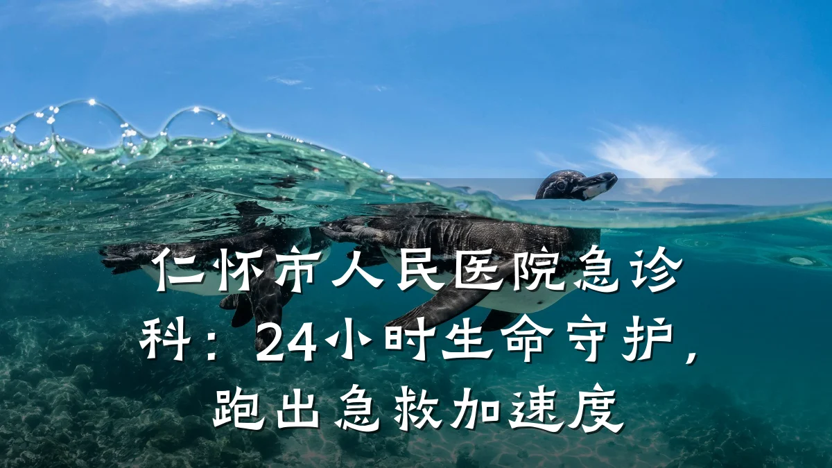 仁怀市人民医院急诊科:24小时生命守护,跑出急救加速度