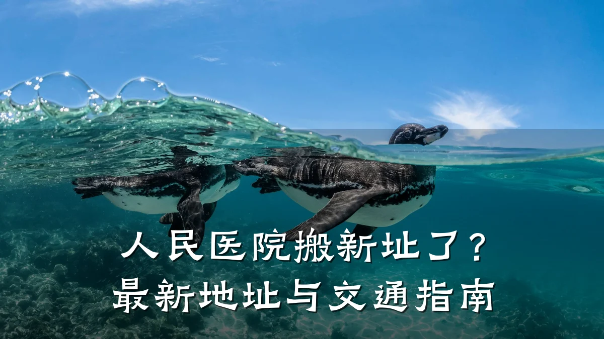 人民医院搬新址了？最新地址与交通指南