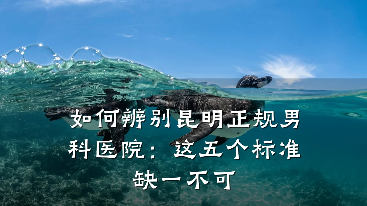 如何辨别昆明正规男科医院:这五个标准缺一不可