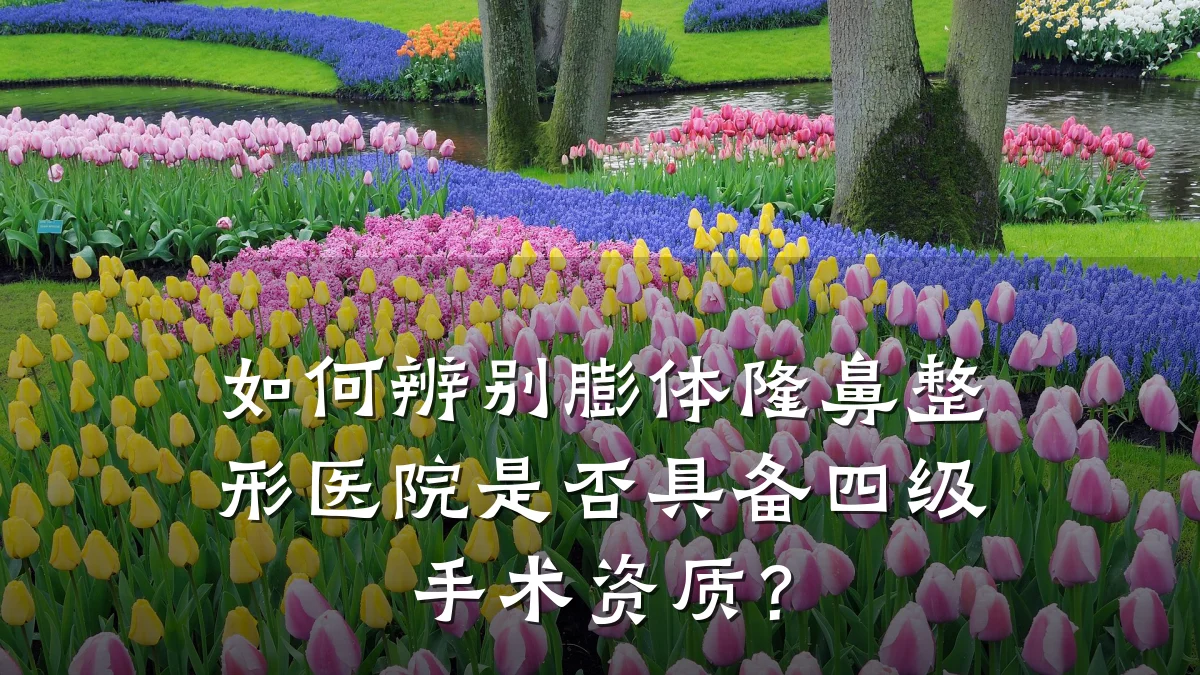 如何辨别膨体隆鼻整形医院是否具备四级手术资质?
