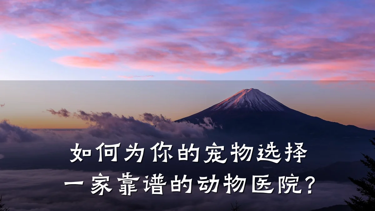 如何为你的宠物选择一家靠谱的动物医院?