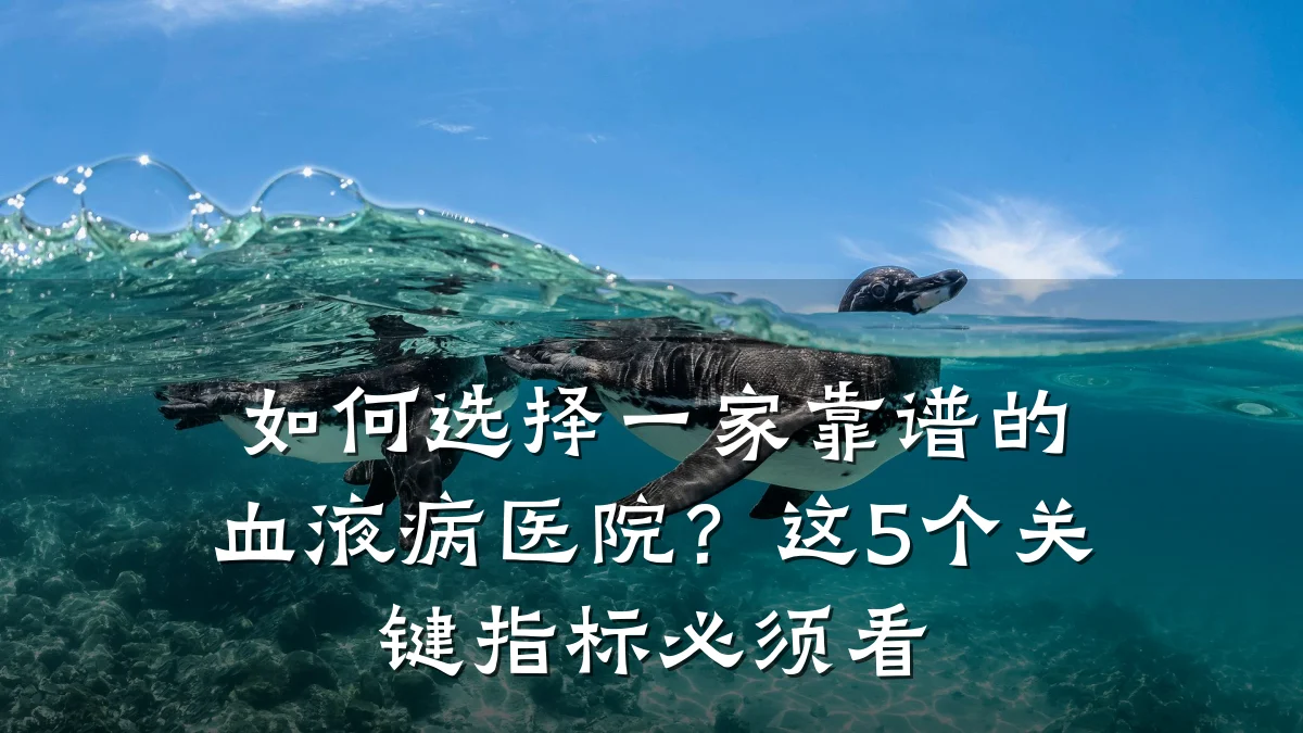 如何选择一家靠谱的血液病医院?这5个关键指标必须看