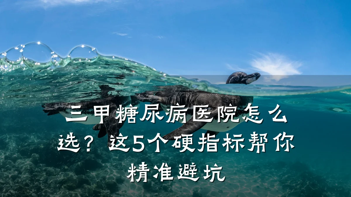 三甲糖尿病医院怎么选?这5个硬指标帮你精准避坑