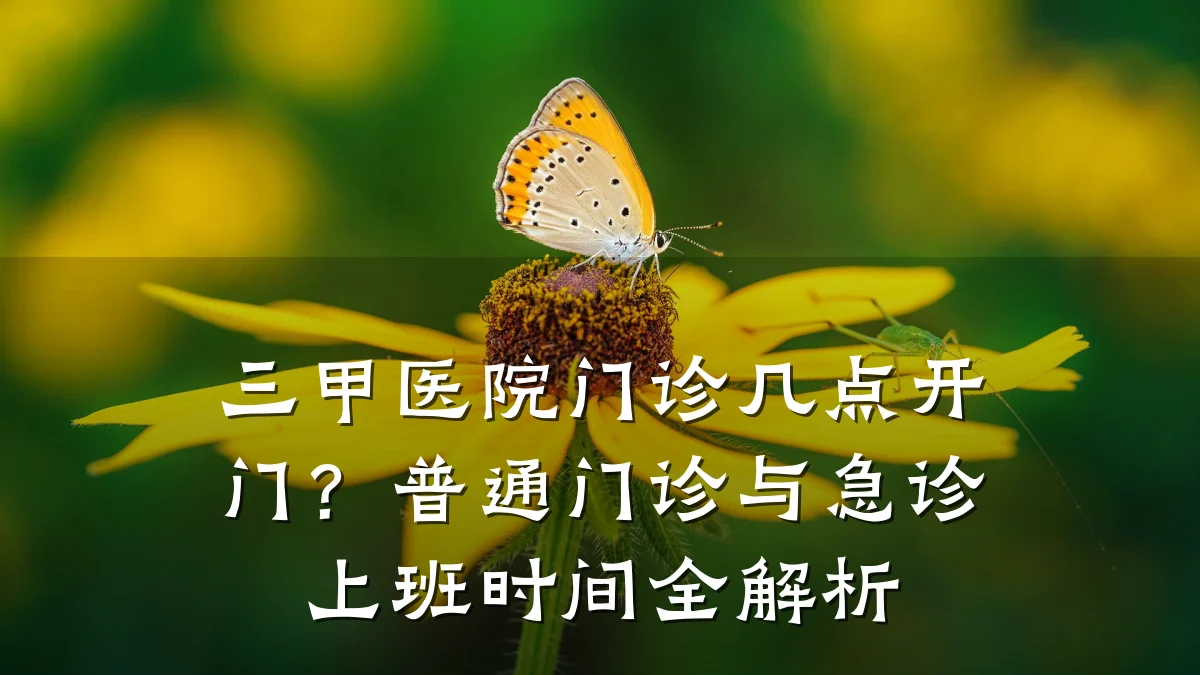 三甲医院门诊几点开门?普通门诊与急诊上班时间全解析