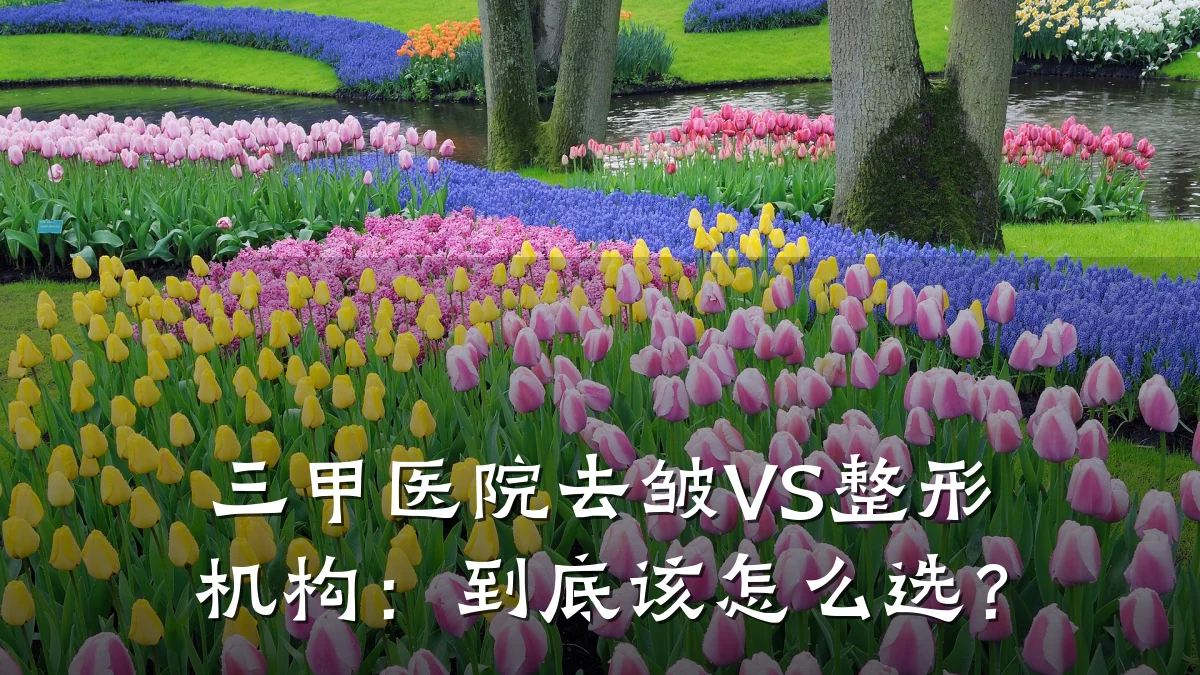 三甲医院去皱VS整形机构:到底该怎么选?