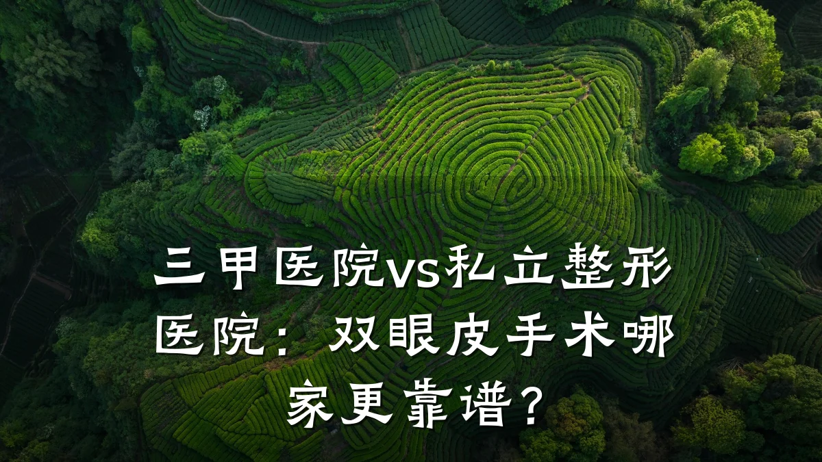 三甲医院vs私立整形医院：双眼皮手术哪家更靠谱？