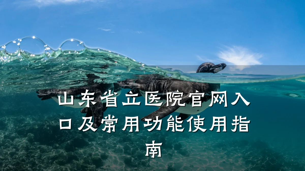 山东省立医院官网入口及常用功能使用指南