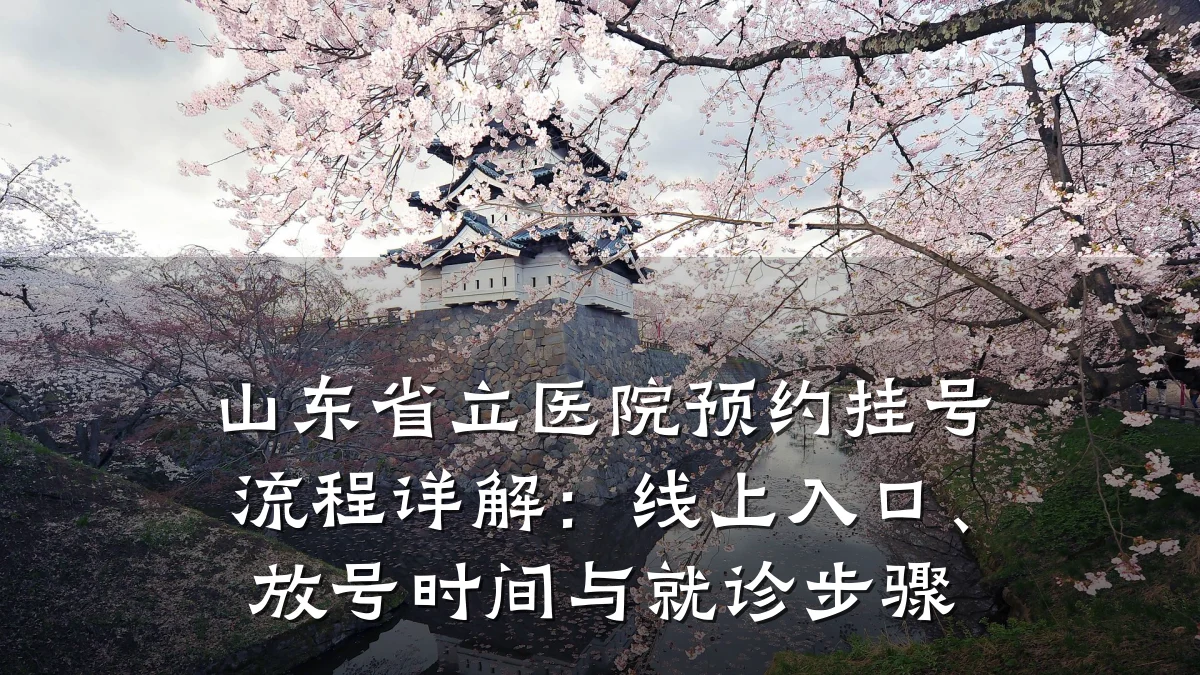 山东省立医院预约挂号流程详解:线上入口、放号时间与就诊步骤