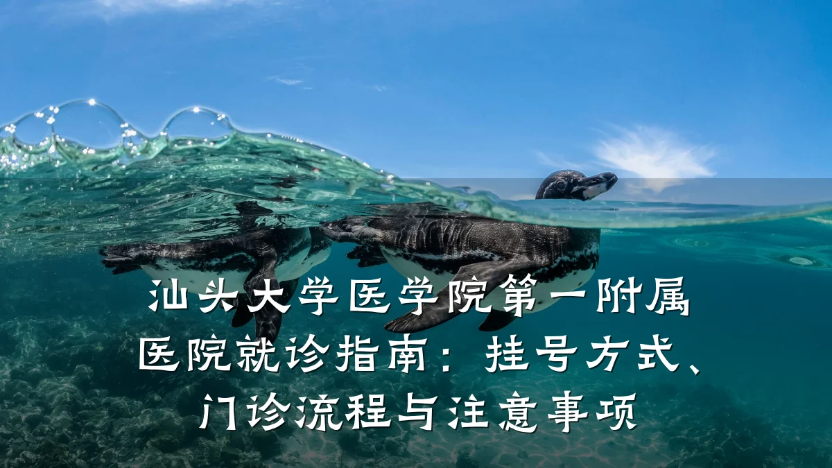 汕头大学医学院第一附属医院就诊指南:挂号方式、门诊流程与注意事项