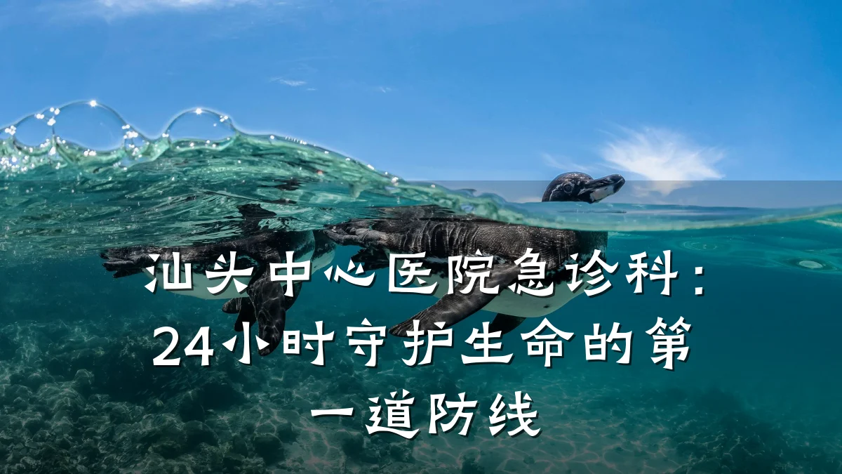 汕头中心医院急诊科:24小时守护生命的第一道防线
