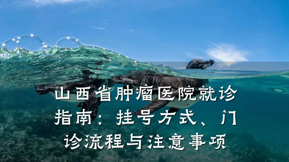山西省肿瘤医院就诊指南：挂号方式、门诊流程与注意事项