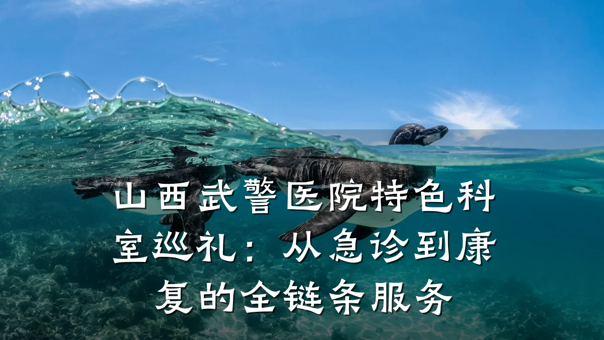 山西武警医院特色科室巡礼:从急诊到康复的全链条服务