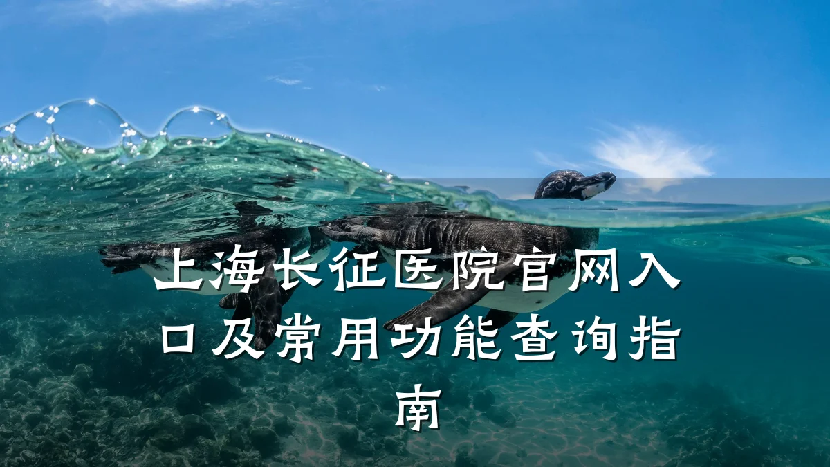 上海长征医院官网入口及常用功能查询指南