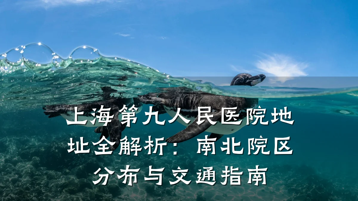 上海第九人民医院地址全解析:南北院区分布与交通指南