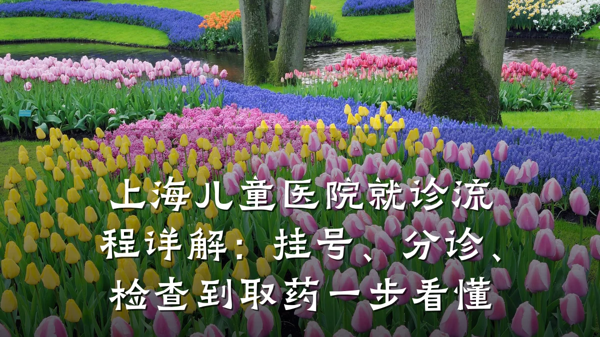 上海儿童医院就诊流程详解：挂号、分诊、检查到取药一步看懂