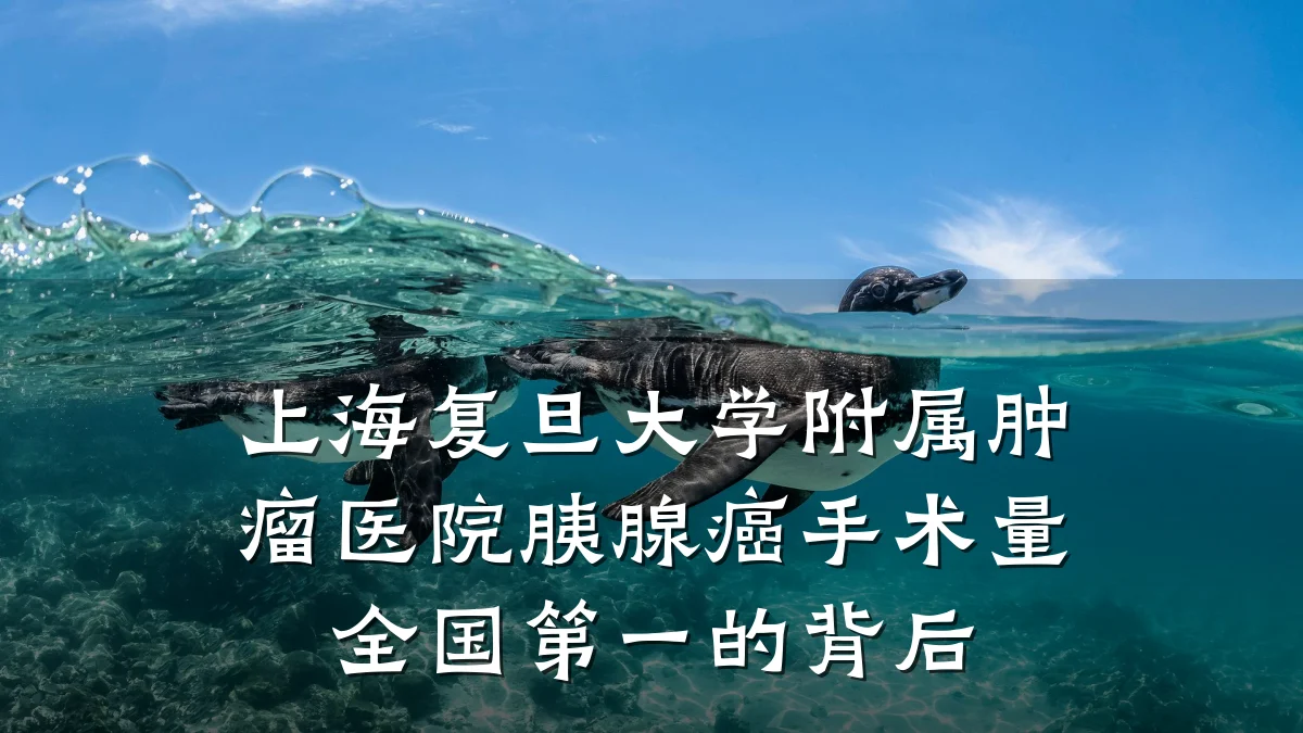 上海复旦大学附属肿瘤医院胰腺癌手术量全国第一的背后