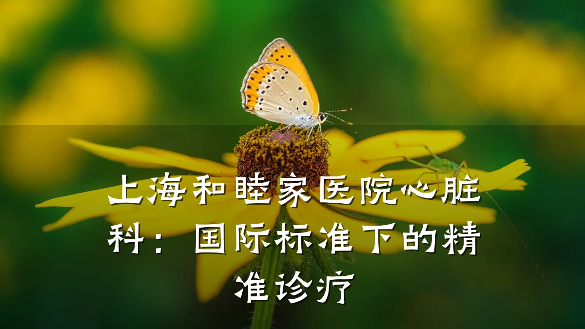 上海和睦家医院心脏科:国际标准下的精准诊疗