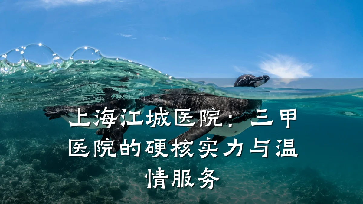 上海江城医院:三甲医院的硬核实力与温情服务