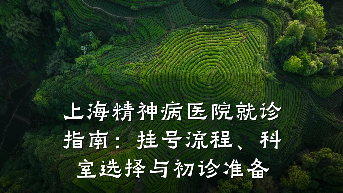 上海精神病医院就诊指南:挂号流程、科室选择与初诊准备