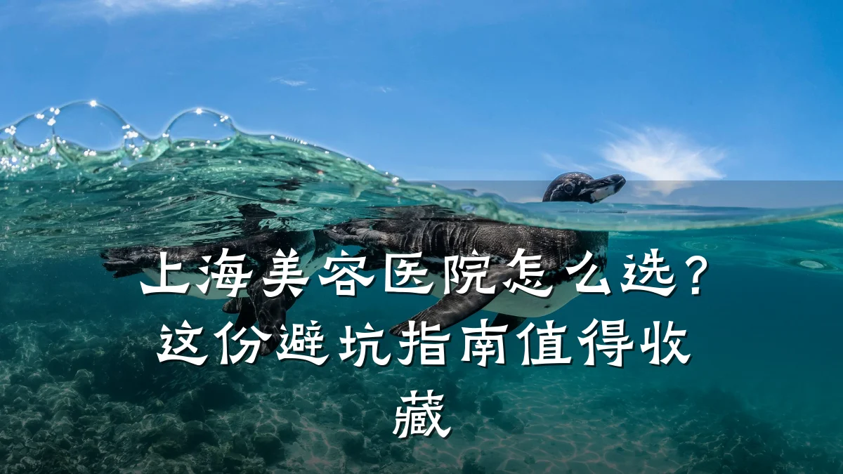 上海美容医院怎么选?这份避坑指南值得收藏