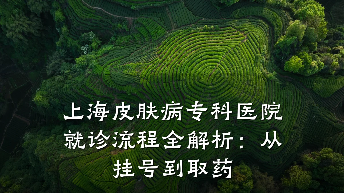 上海皮肤病专科医院就诊流程全解析:从挂号到取药
