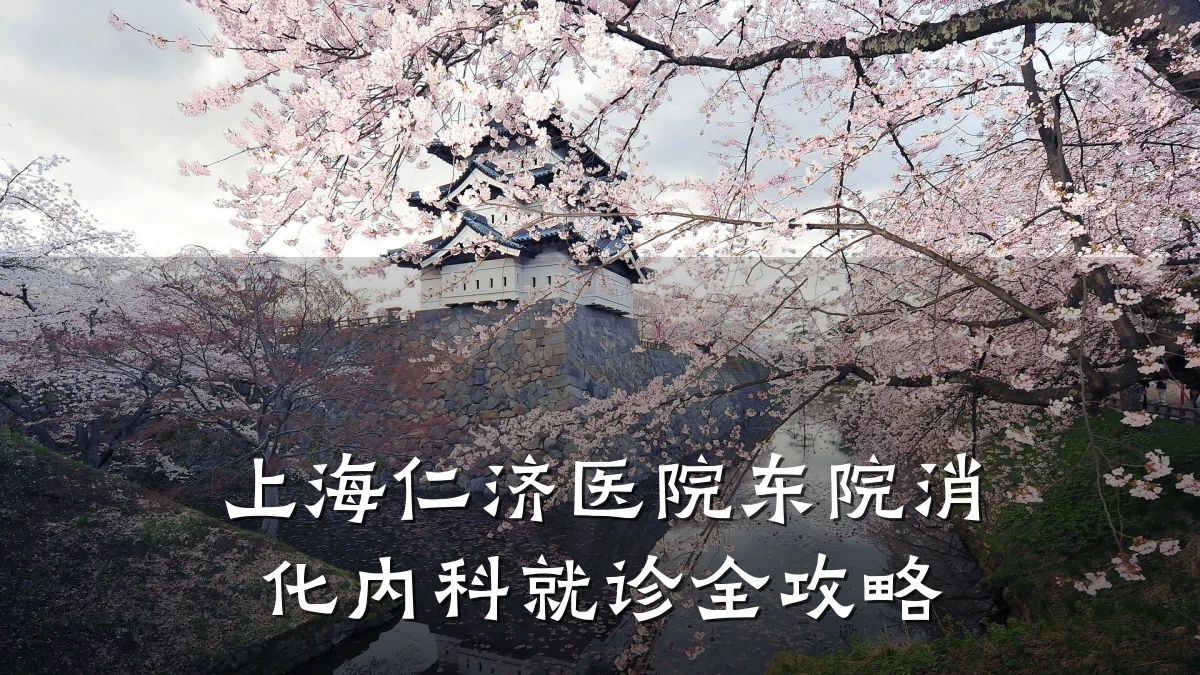 上海仁济医院东院消化内科就诊全攻略