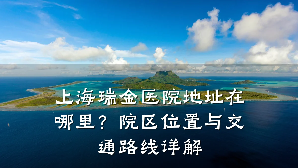 上海瑞金医院地址在哪里？院区位置与交通路线详解
