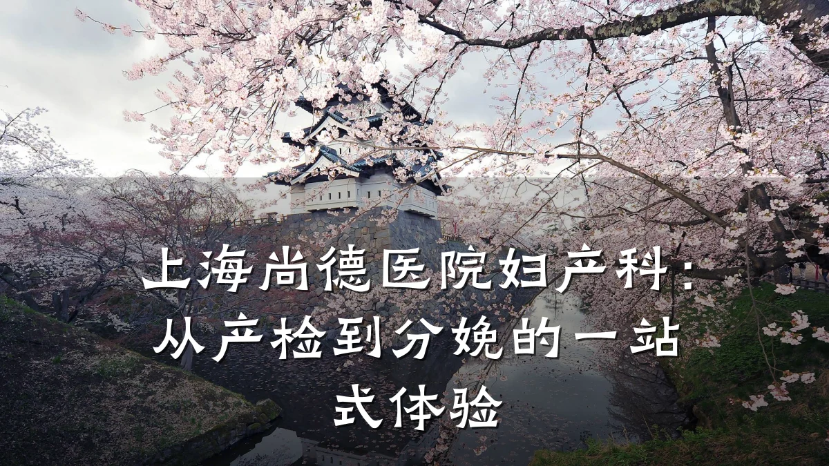 上海尚德医院妇产科:从产检到分娩的一站式体验