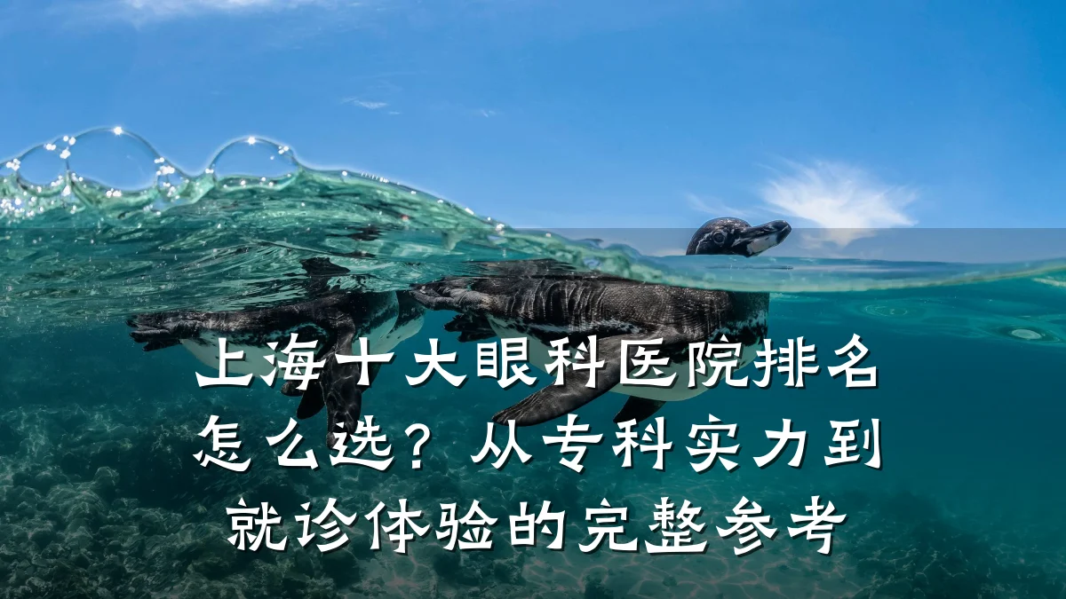 上海十大眼科医院排名怎么选?从专科实力到就诊体验的完整参考