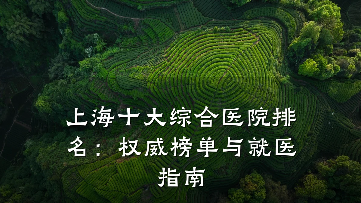 上海十大综合医院排名:权威榜单与就医指南