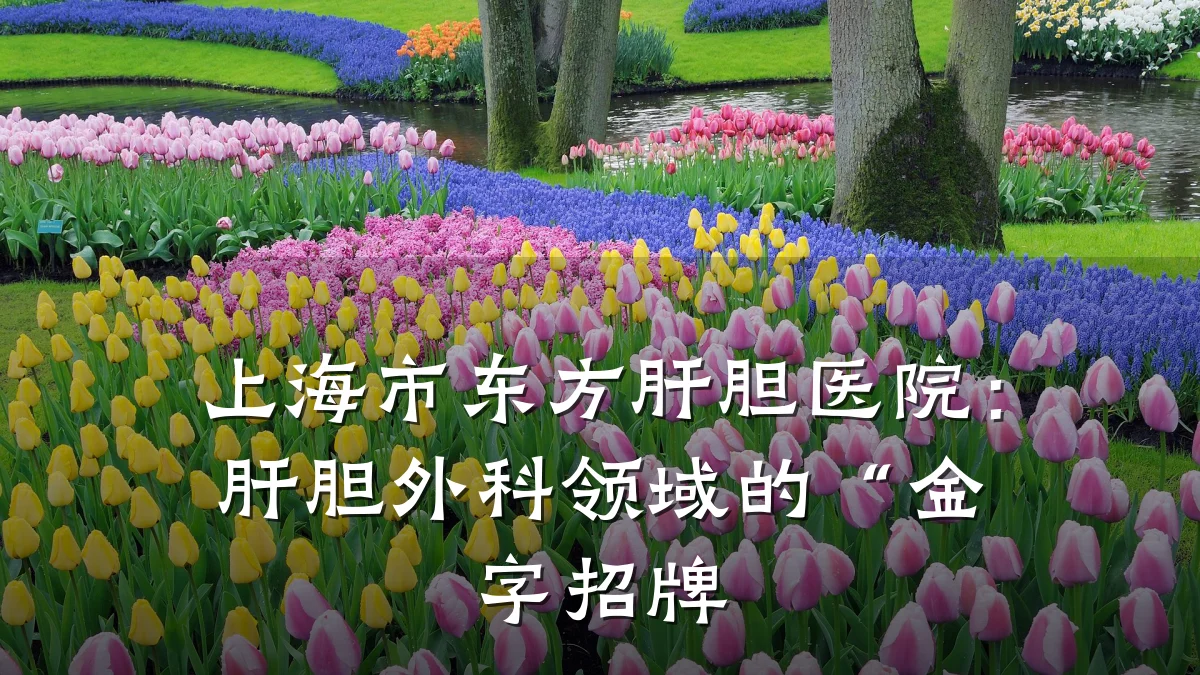 上海市东方肝胆医院:肝胆外科领域的“金字招牌
