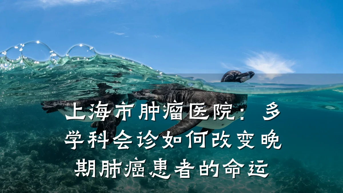 上海市肿瘤医院:多学科会诊如何改变晚期肺癌患者的命运
