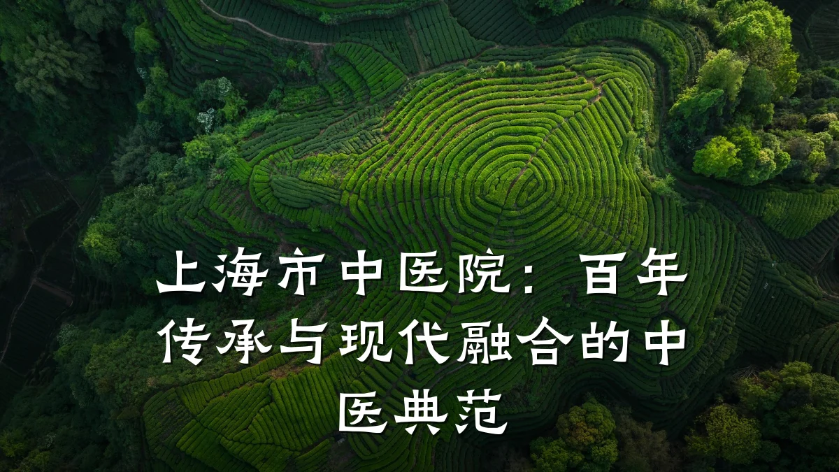 上海市中医院:百年传承与现代融合的中医典范
