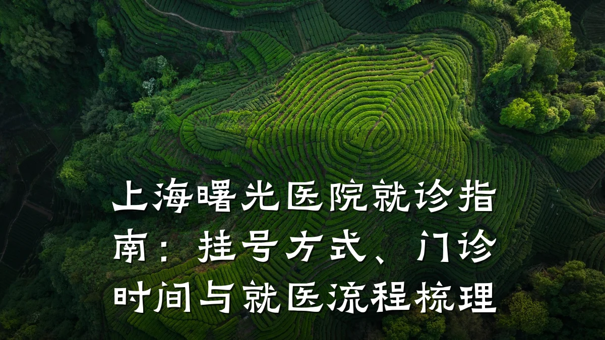 上海曙光医院就诊指南:挂号方式、门诊时间与就医流程梳理