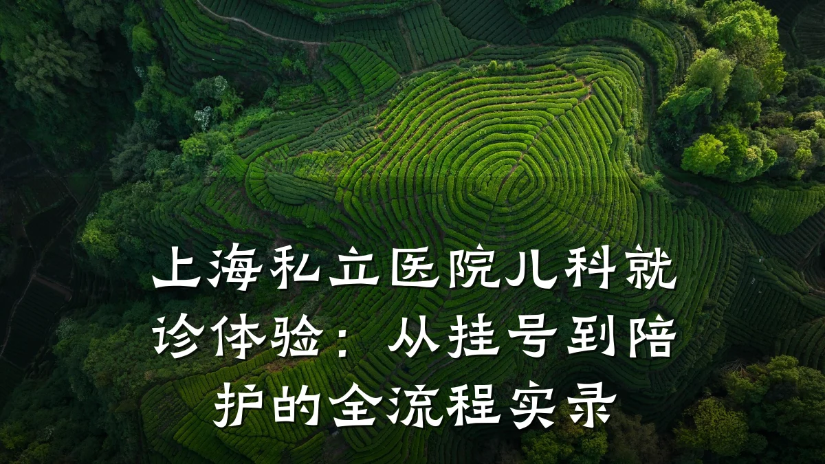 上海私立医院儿科就诊体验:从挂号到陪护的全流程实录
