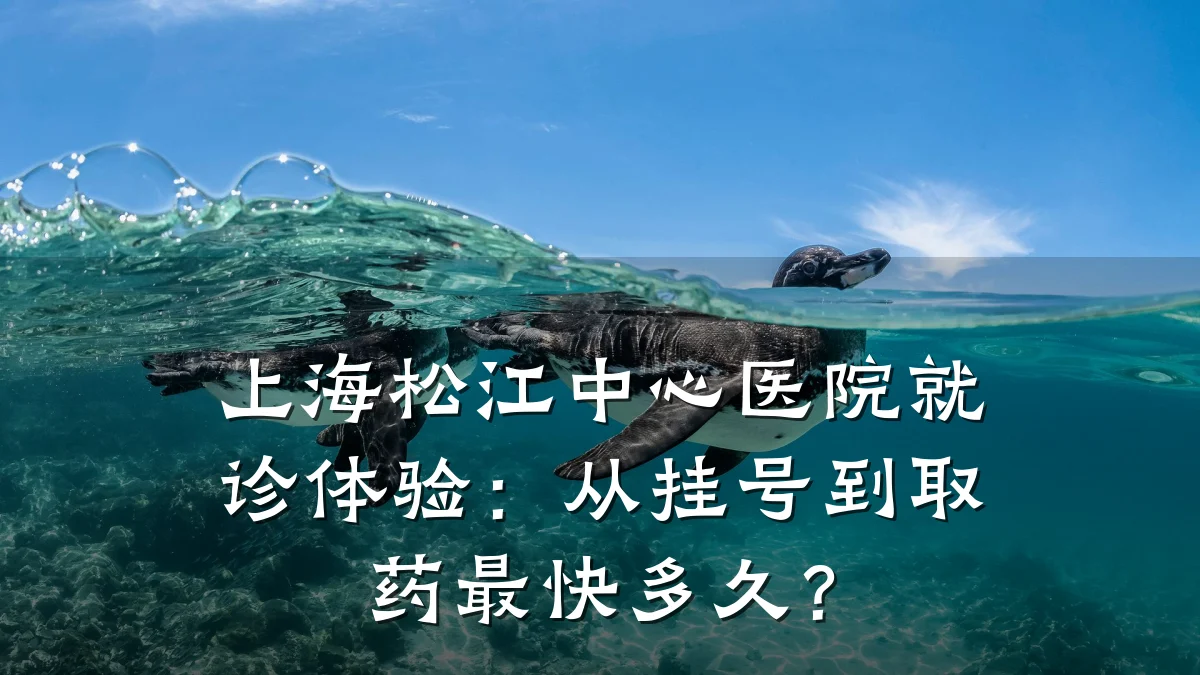 上海松江中心医院就诊体验：从挂号到取药最快多久？