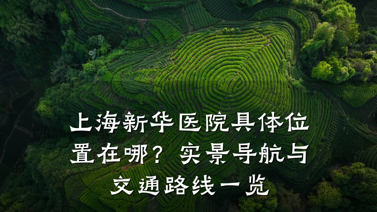 上海新华医院具体位置在哪?实景导航与交通路线一览