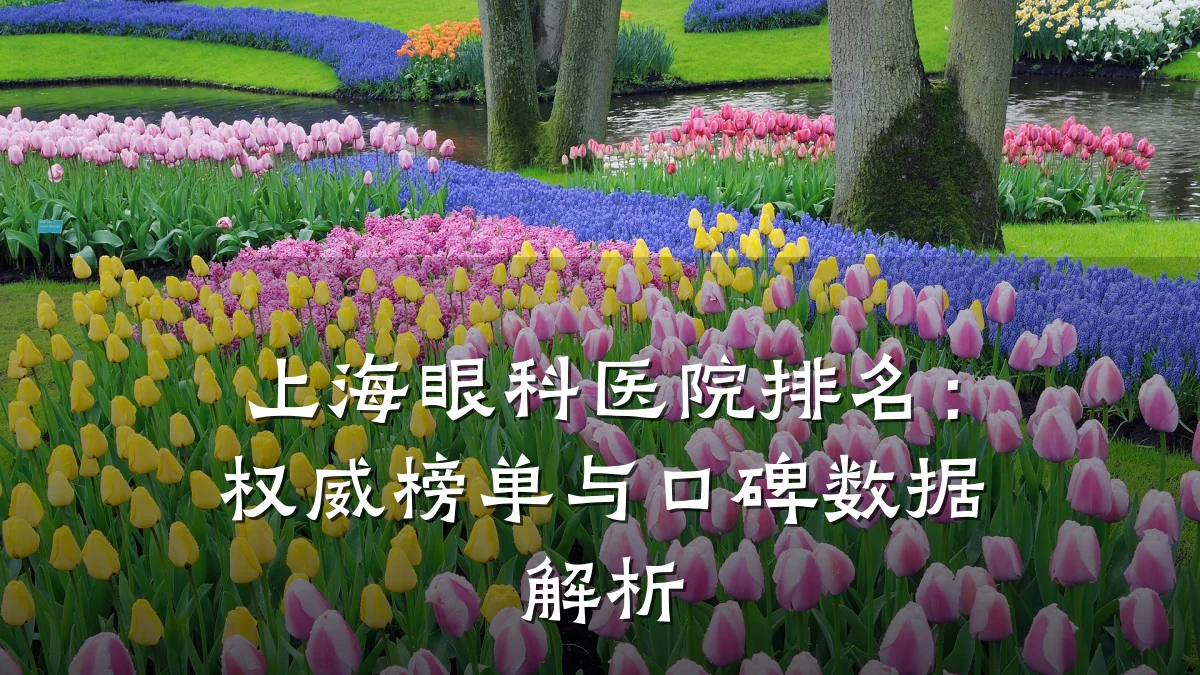 上海眼科医院排名:权威榜单与口碑数据解析