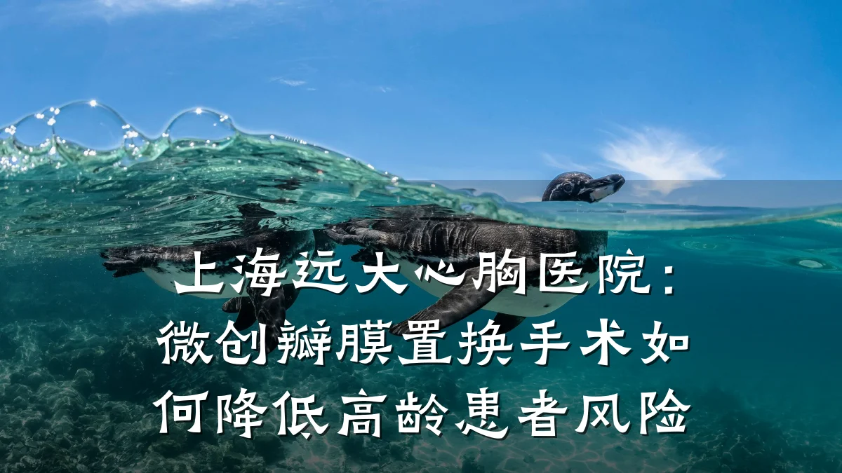 上海远大心胸医院:微创瓣膜置换手术如何降低高龄患者风险