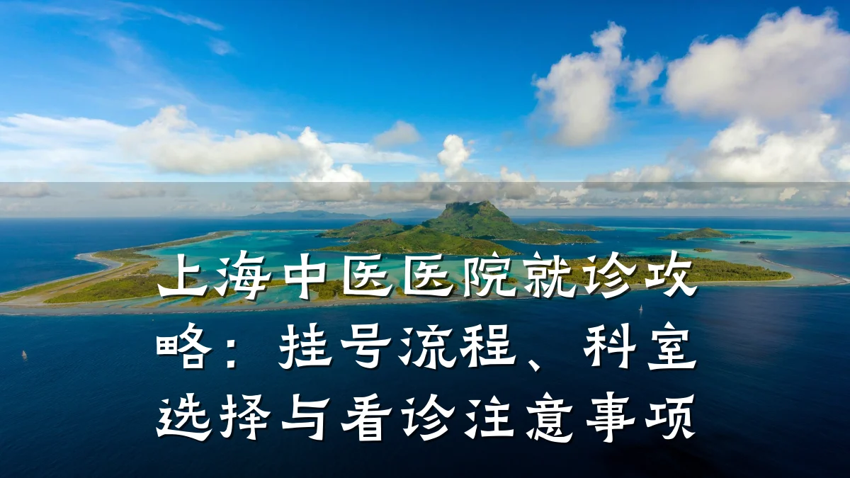 上海中医医院就诊攻略:挂号流程、科室选择与看诊注意事项
