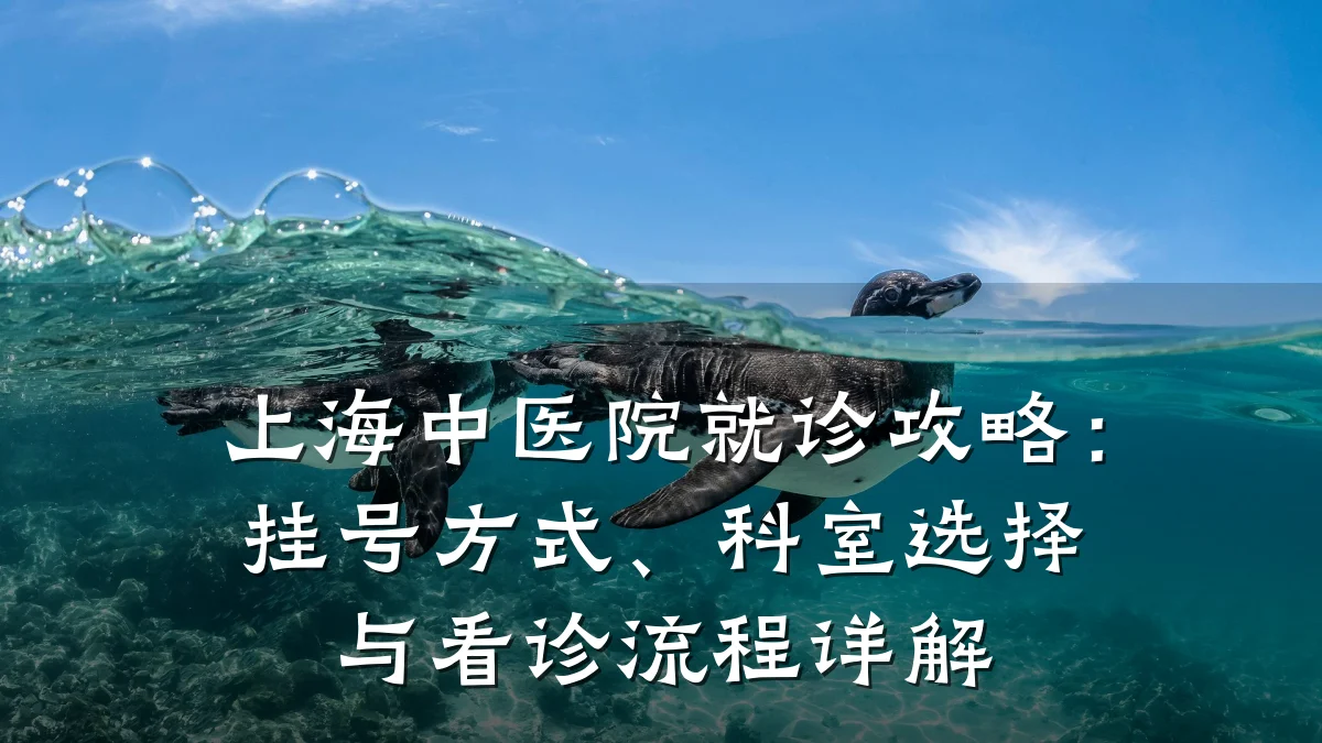 上海中医院就诊攻略:挂号方式、科室选择与看诊流程详解