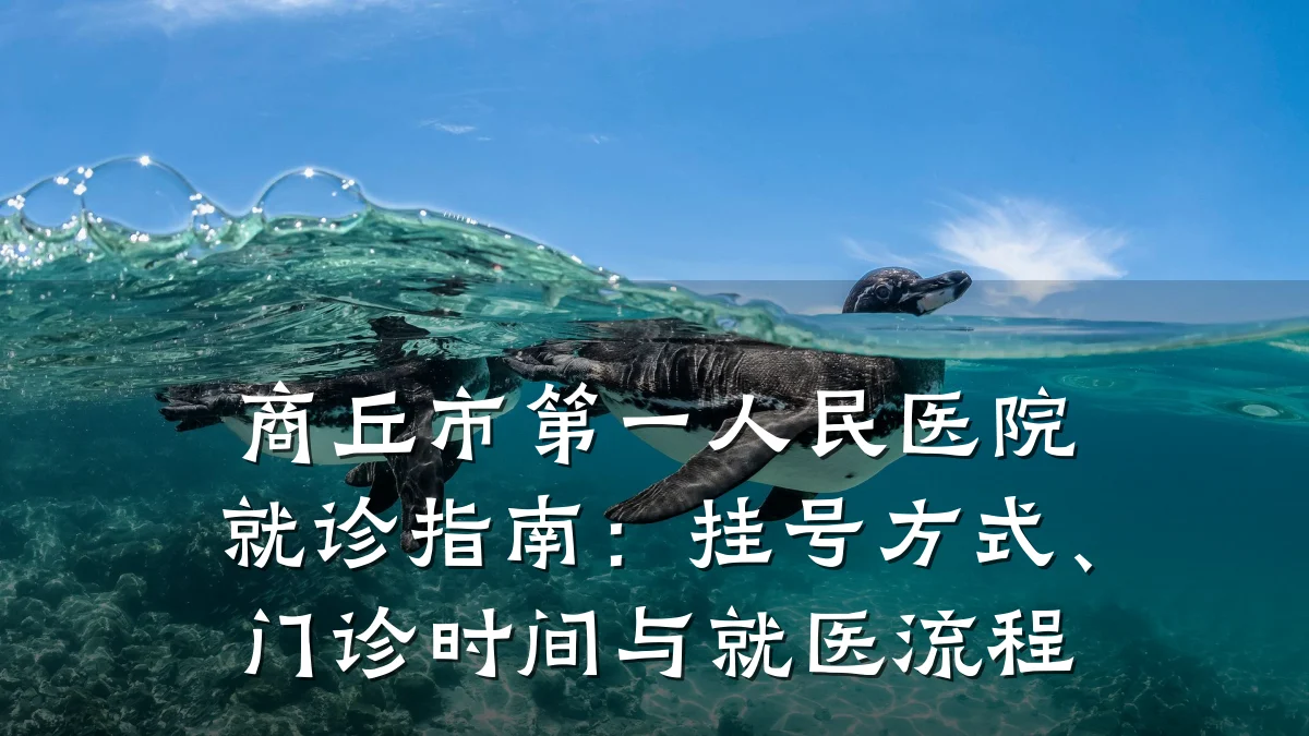 商丘市第一人民医院就诊指南:挂号方式、门诊时间与就医流程