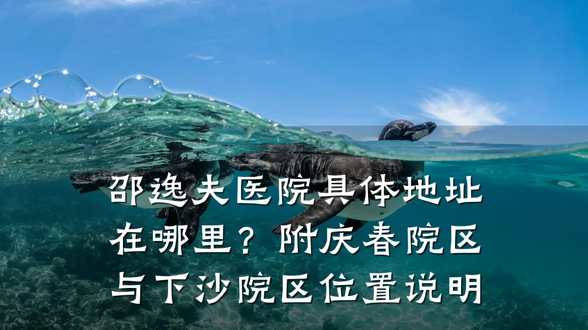邵逸夫医院具体地址在哪里?附庆春院区与下沙院区位置说明