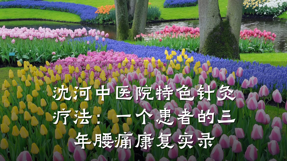沈河中医院特色针灸疗法:一个患者的三年腰痛康复实录